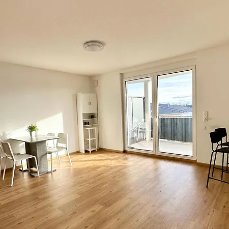 Apartman Komplett Moeblierte Zentrale Lage Offenburg